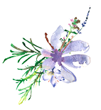 flor dibujada por Cristina Maser como detalle de la invitación